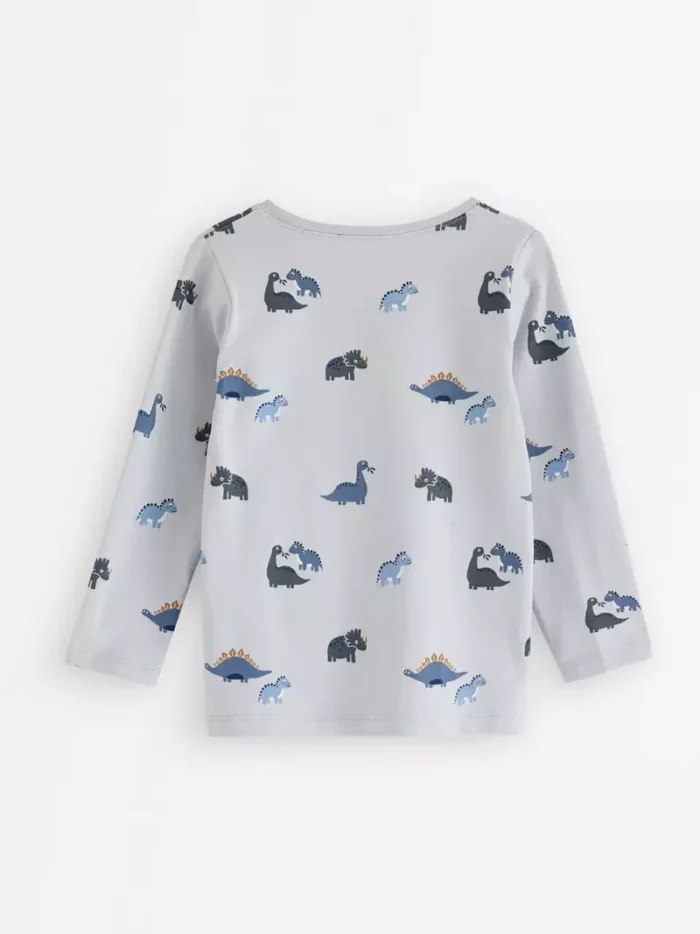 Long-sleeved top